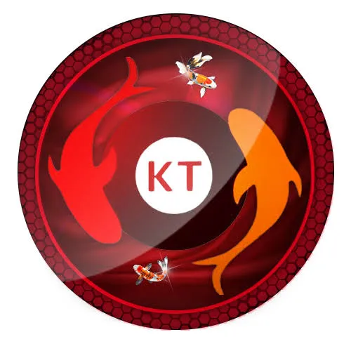 koitoto APK Bingo